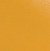 Sneaker Dedication - Giallo