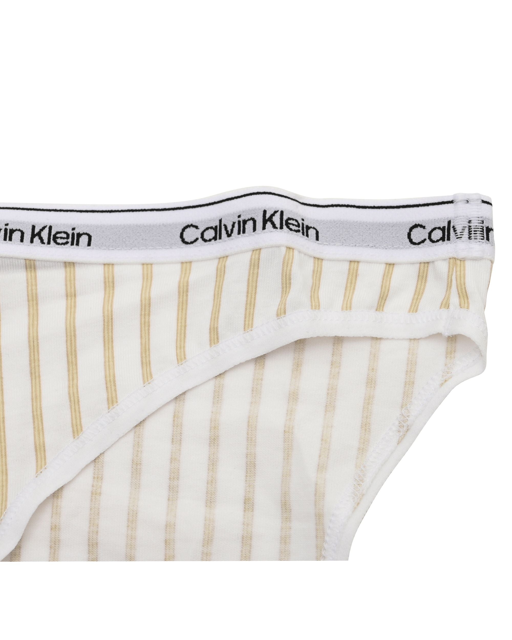 Calvin Klein Womens Bikini 000QD5044ET8K