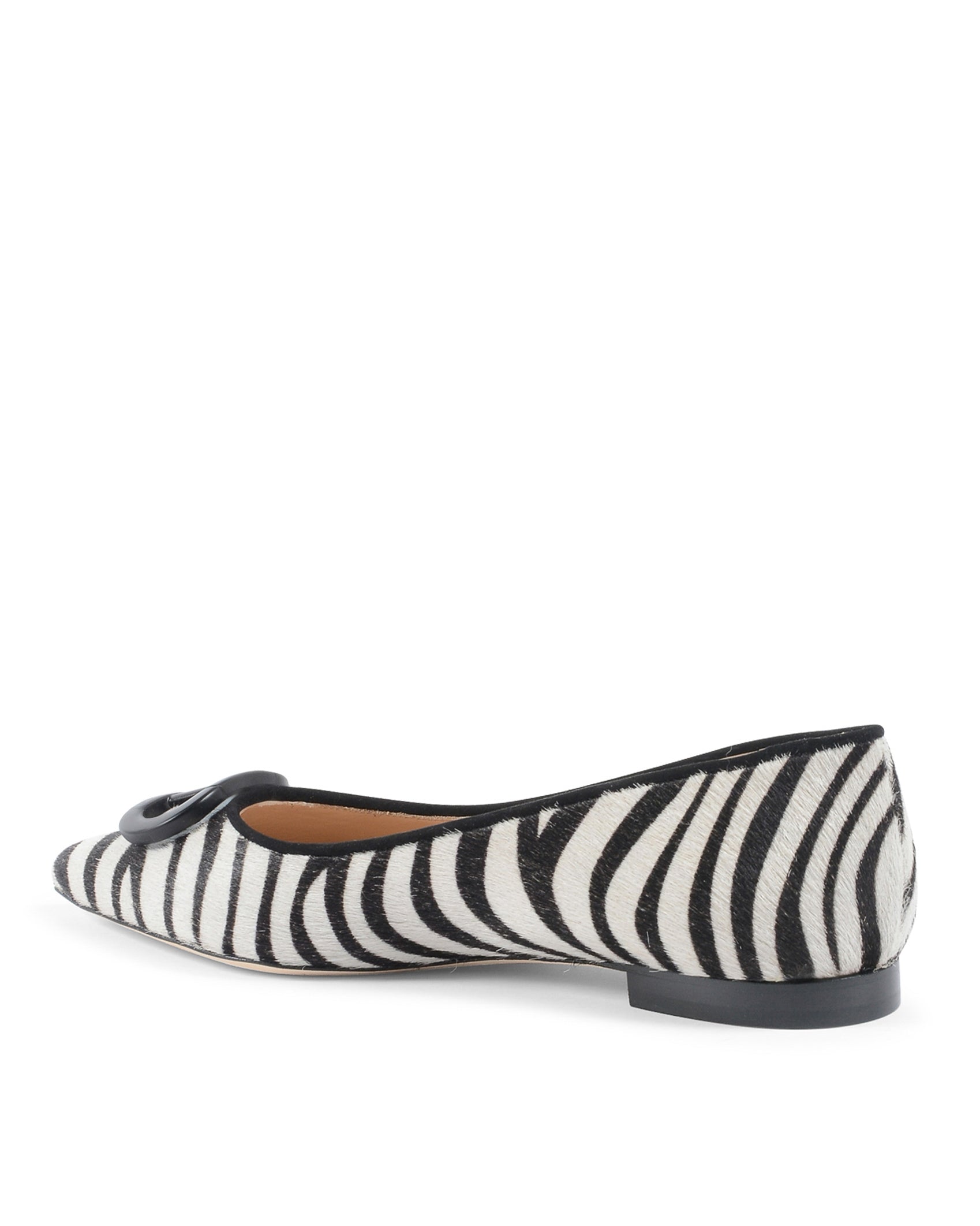 Ballerina zebra della giungla