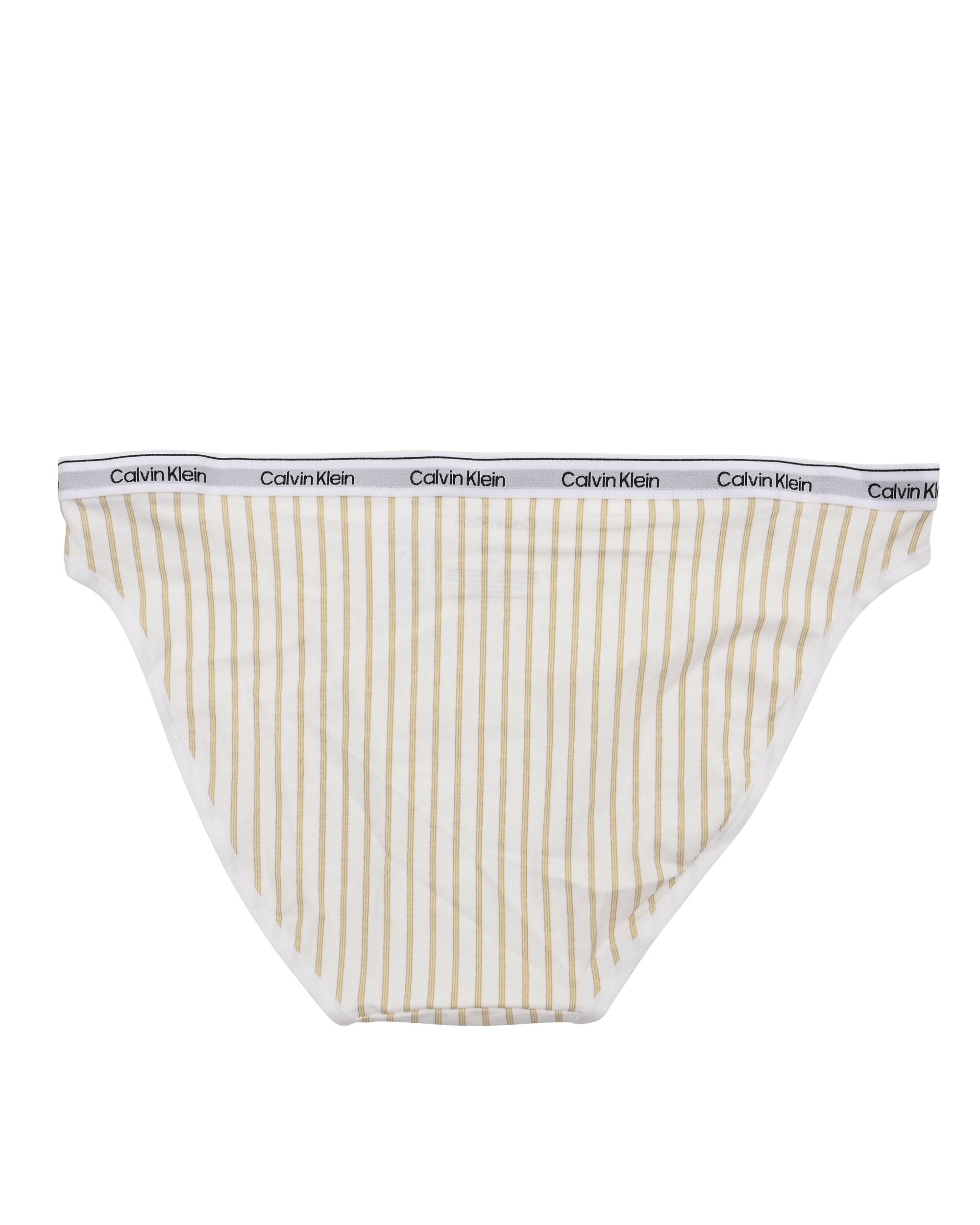 Calvin Klein Womens Bikini 000QD5044ET8K