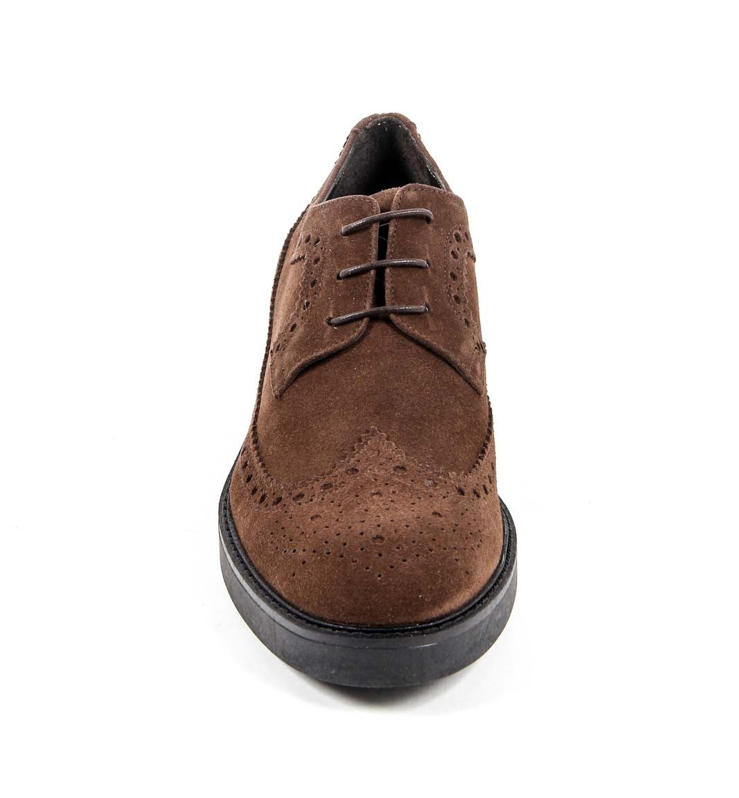 V 1969 Italia Scarpa Brogue da Donna B1670 VELOUR MARRONE