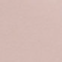 Sneaker Dedication - Nude