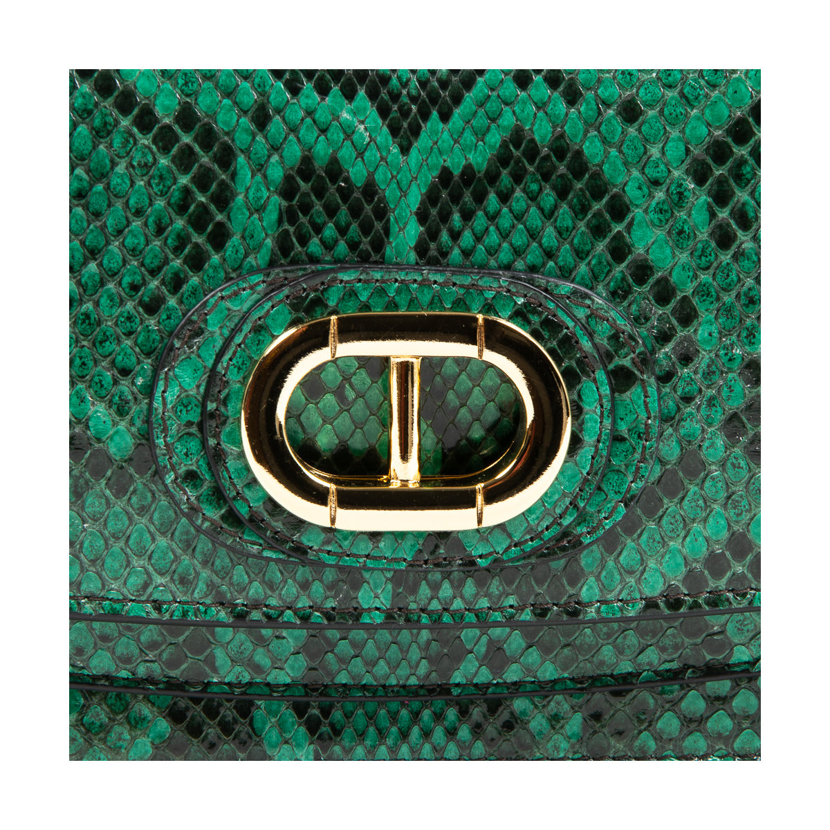 Siena Python Small Crossbody