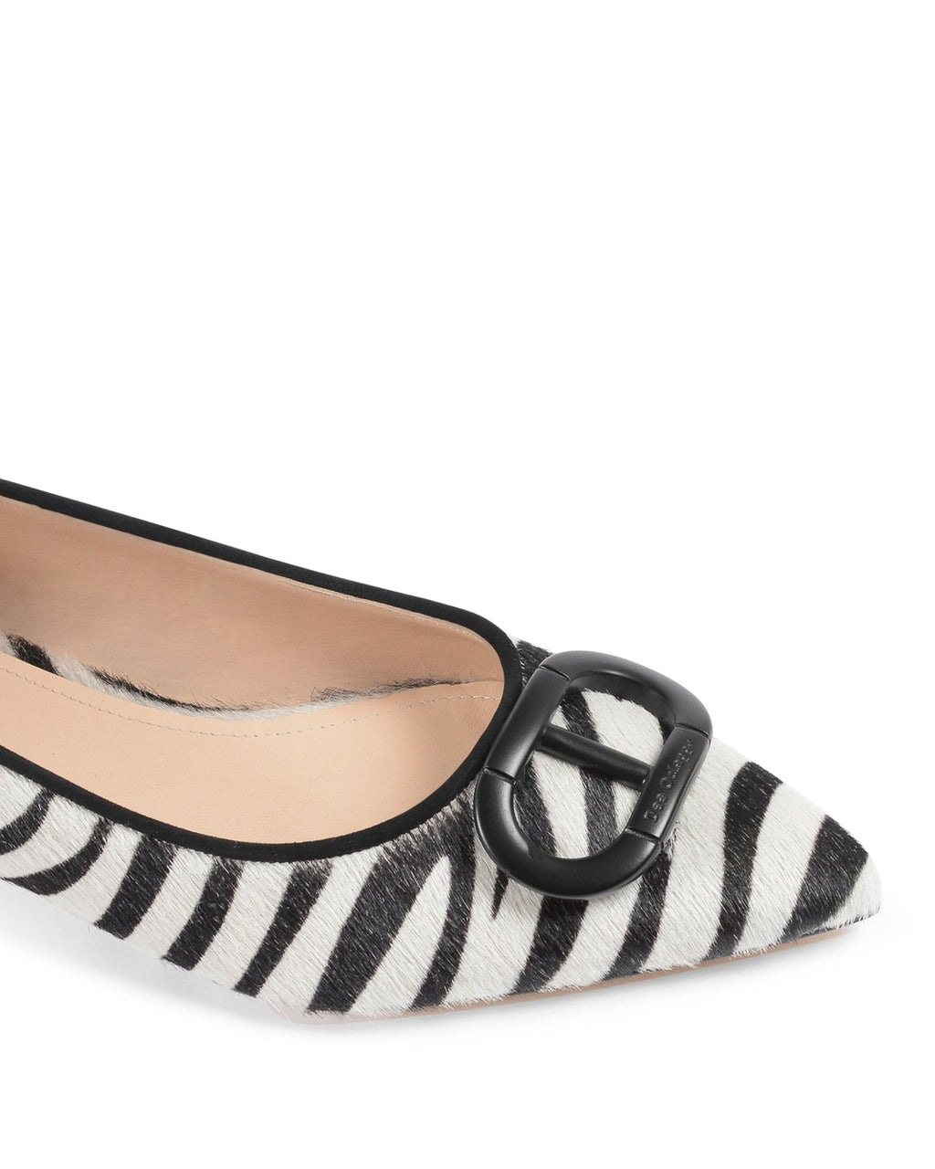 Ballerina zebra della giungla