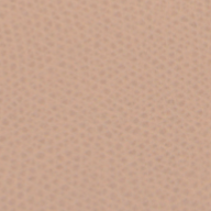 Mule con logo Dizzy Nude