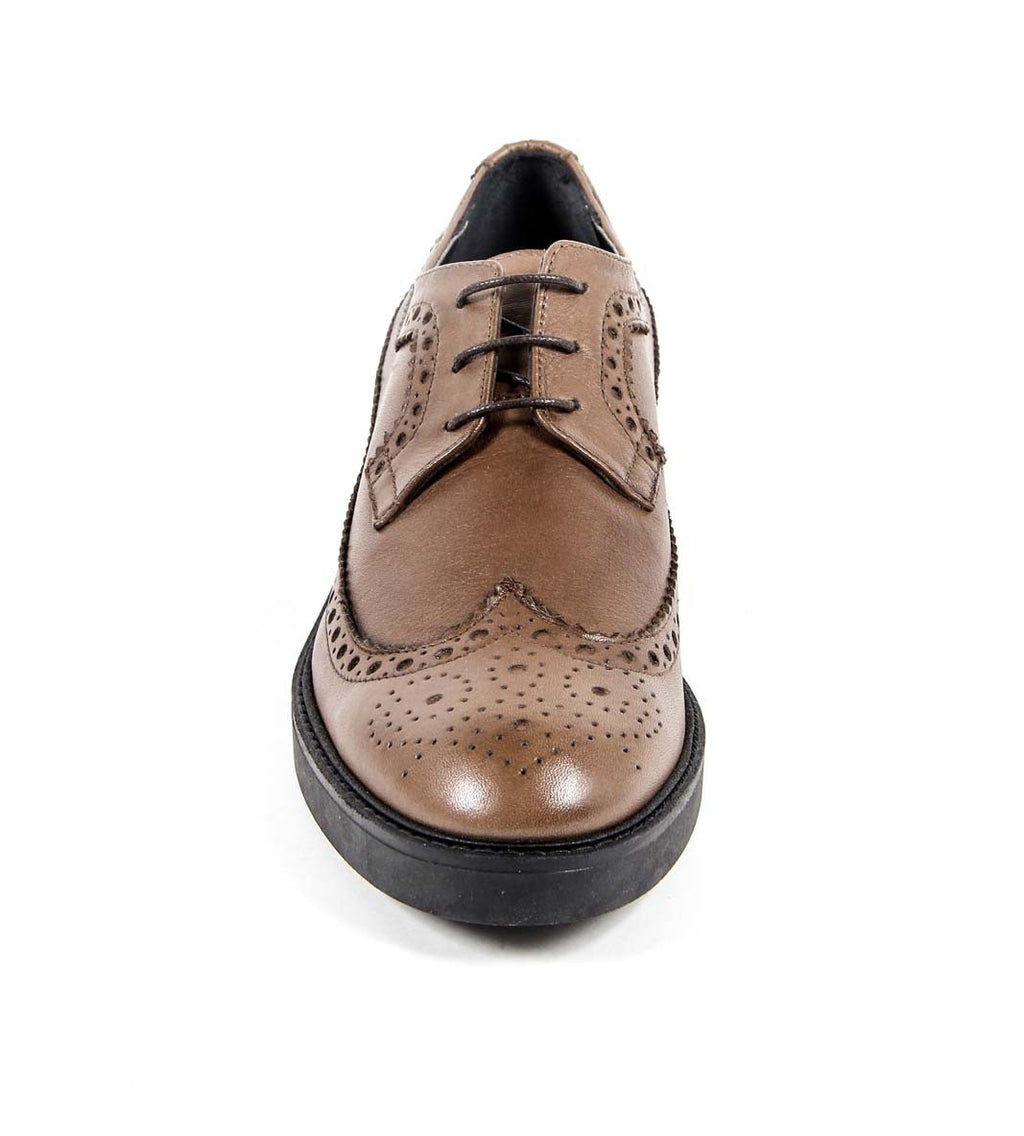 V 1969 Italia Womens Brogue Shoe B1670 VITELLO BROWN