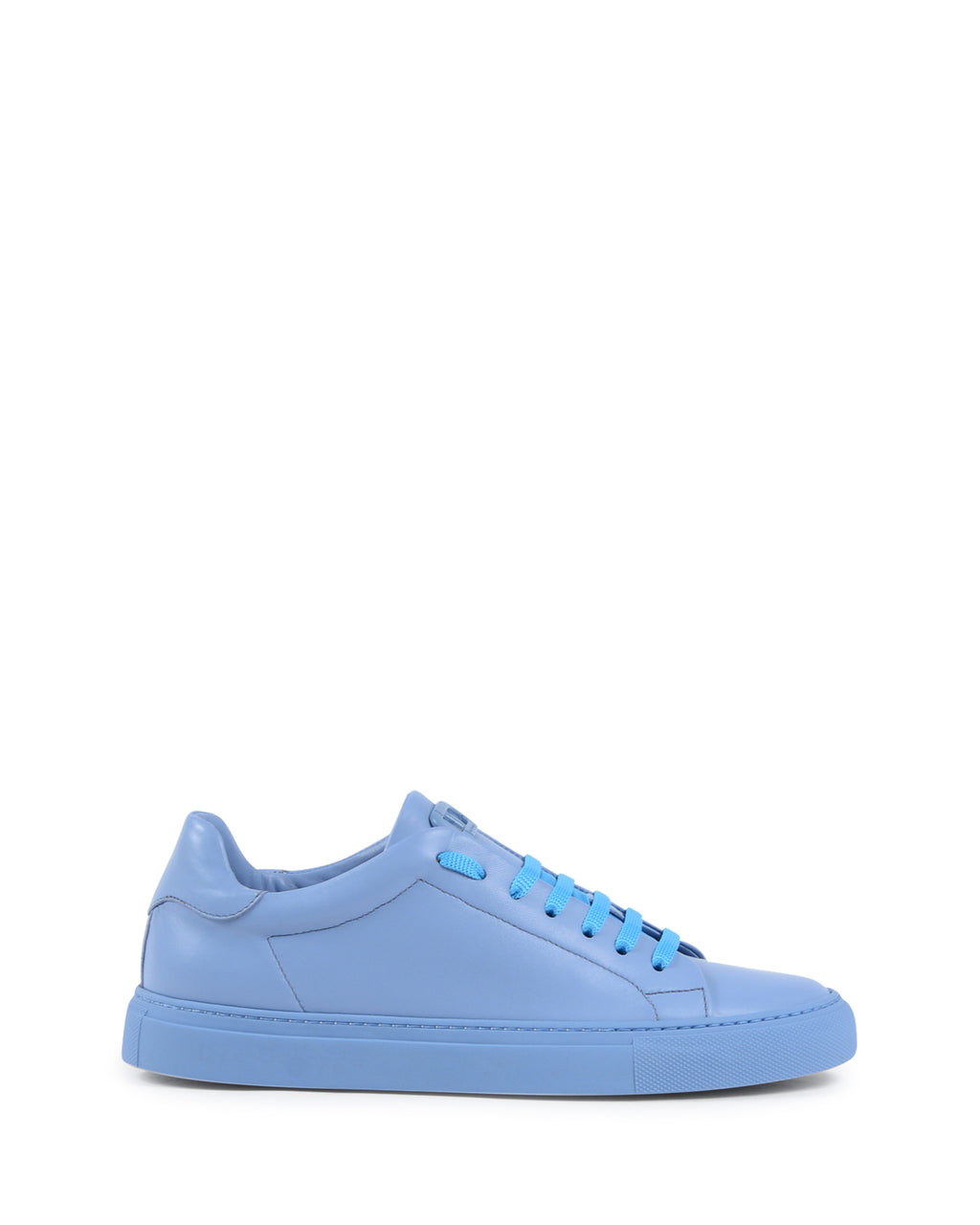 Sneaker Dedication - Azzurro