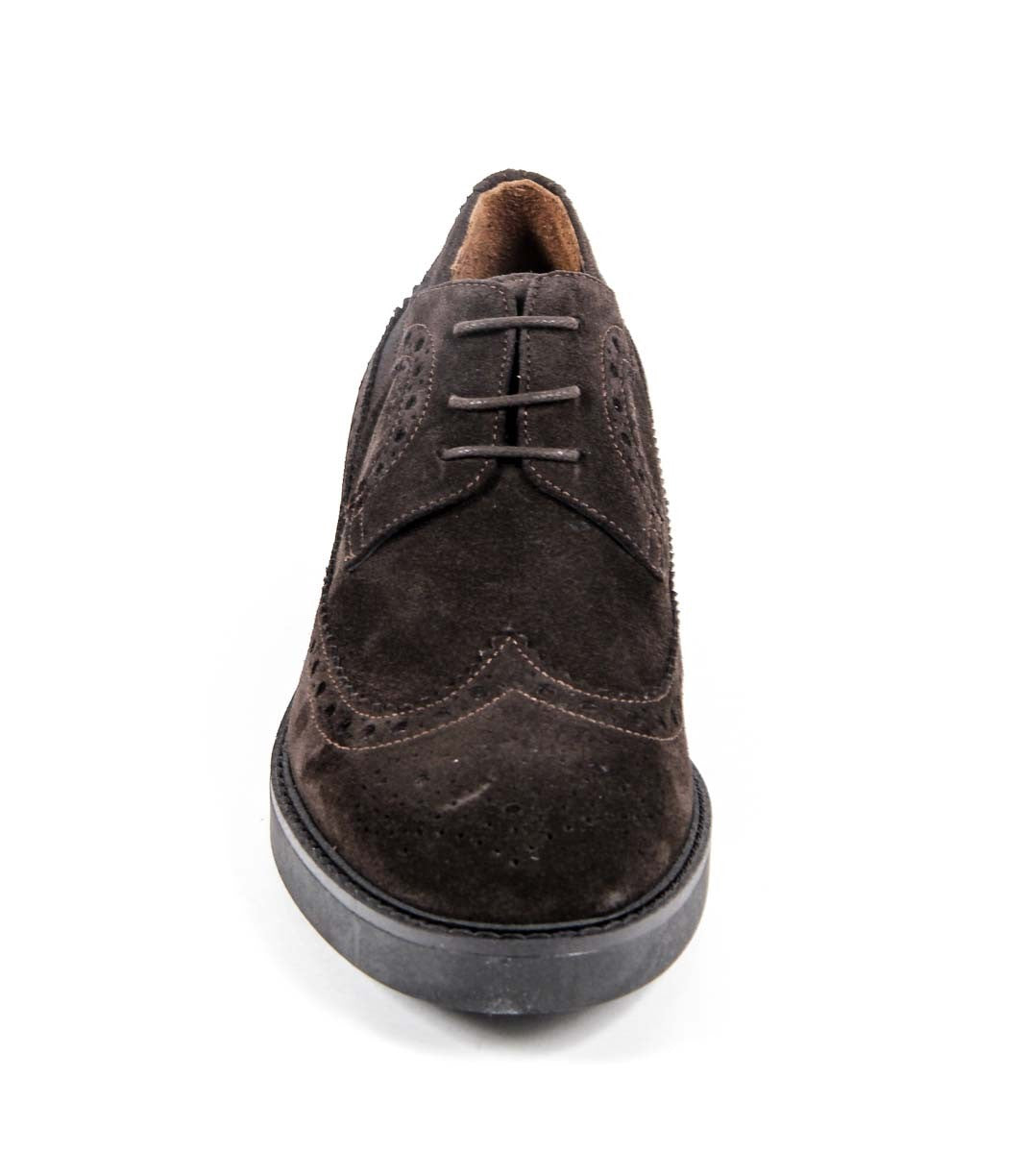 V 1969 Italia Scarpa Brogue Donna B1670 VELOUR T. MORO