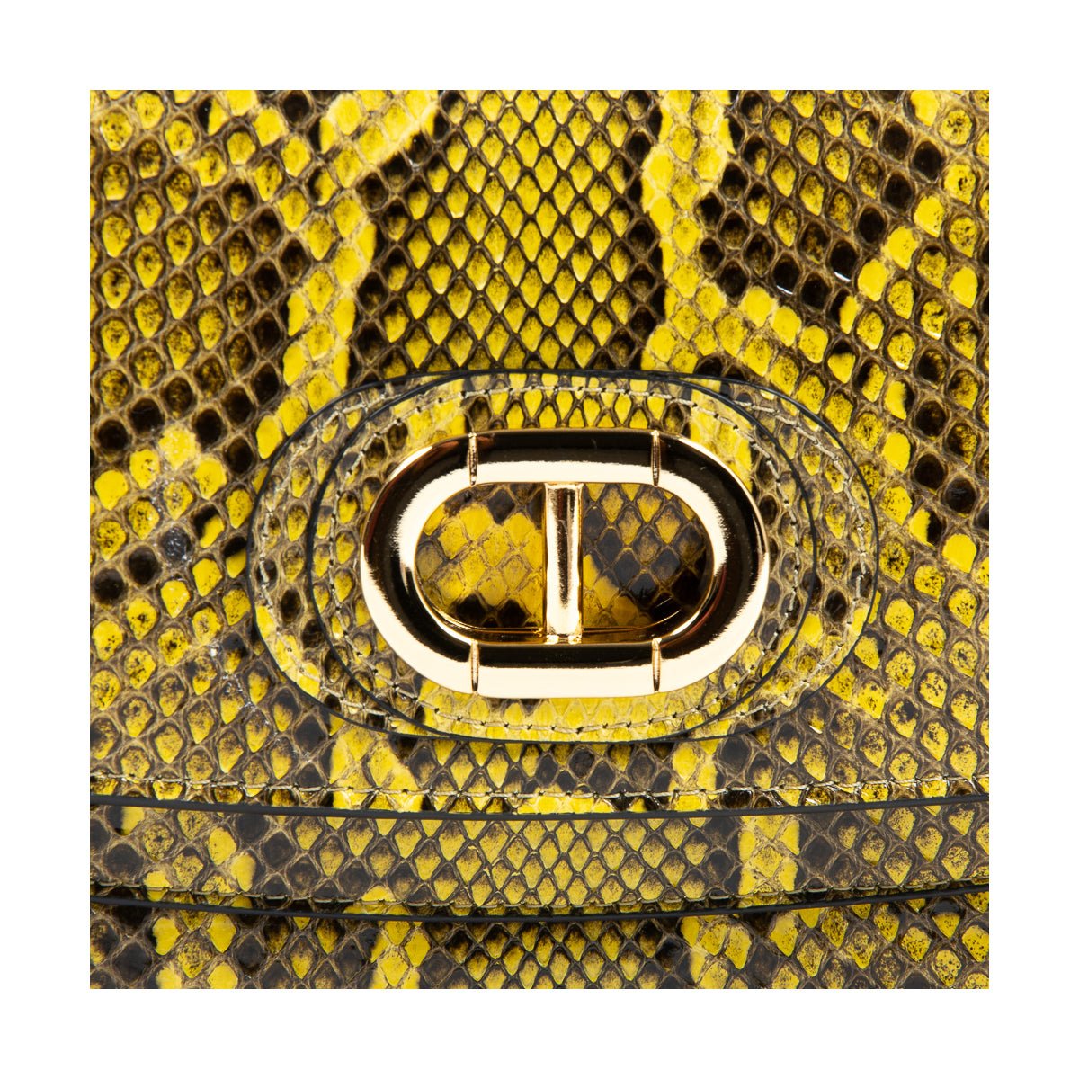 Siena Python Small Crossbody