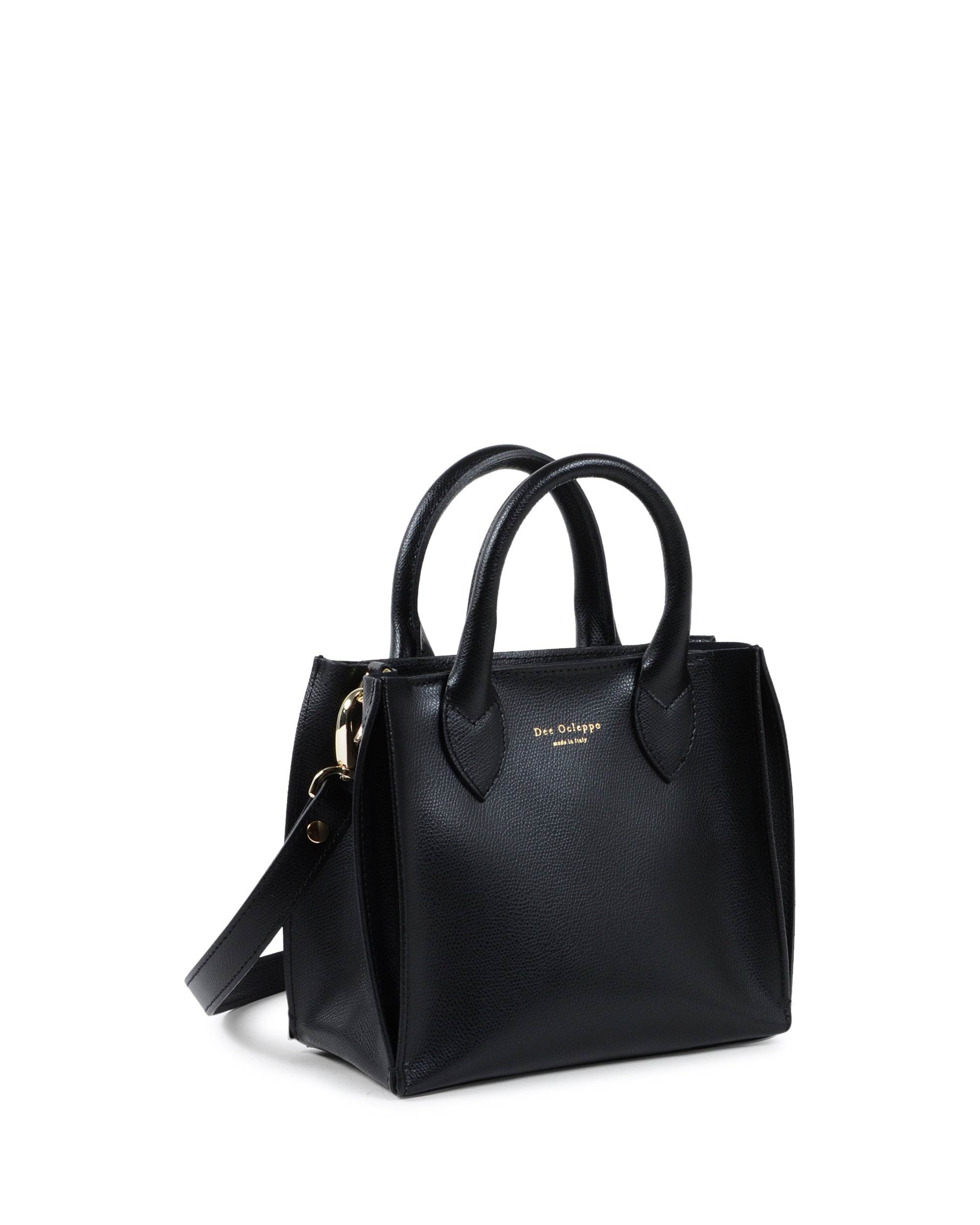 Mini Lucca Palmellato Tote