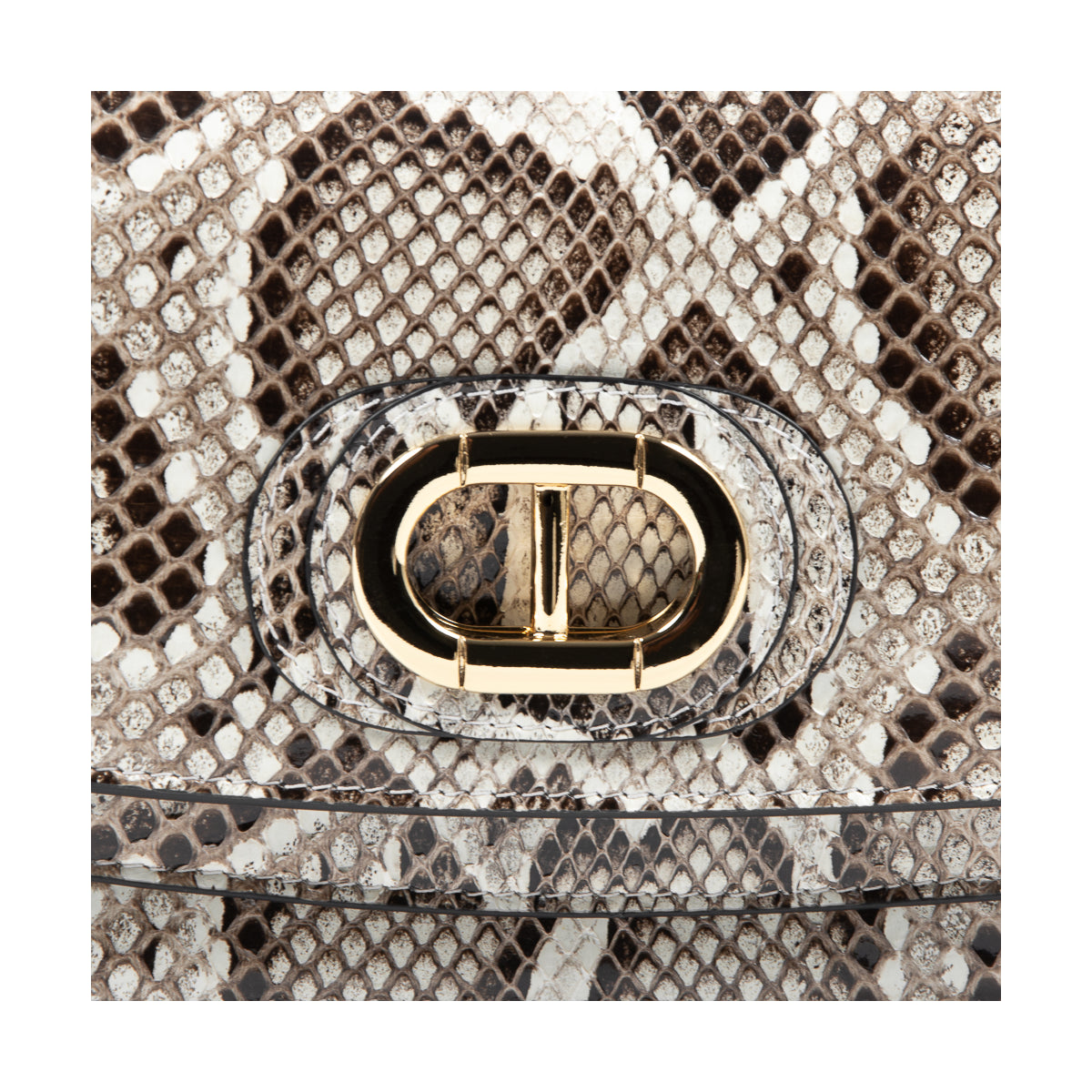 Siena Python Small Crossbody