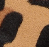 Scarpa con tacco a spillo leopardata con logo Fairy