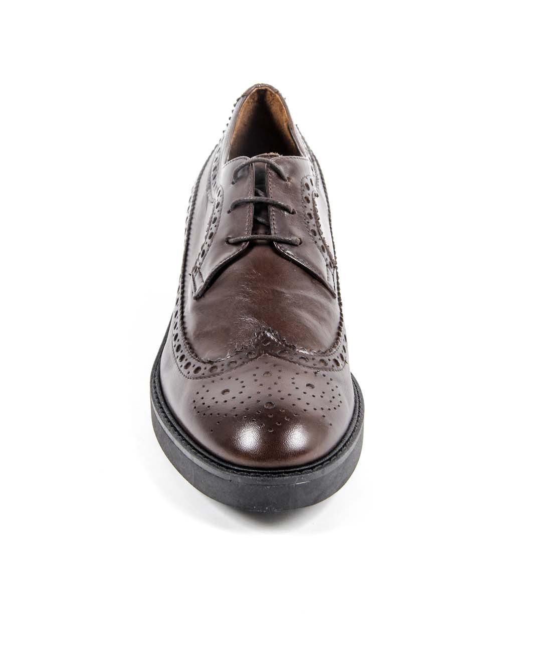 Scarpa Brogue Donna V 1969 Italia B1670 VITELLO T. MORO COCCO