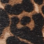 Ballerina leopardo della giungla
