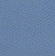 Dizzy Logo Mule Sky