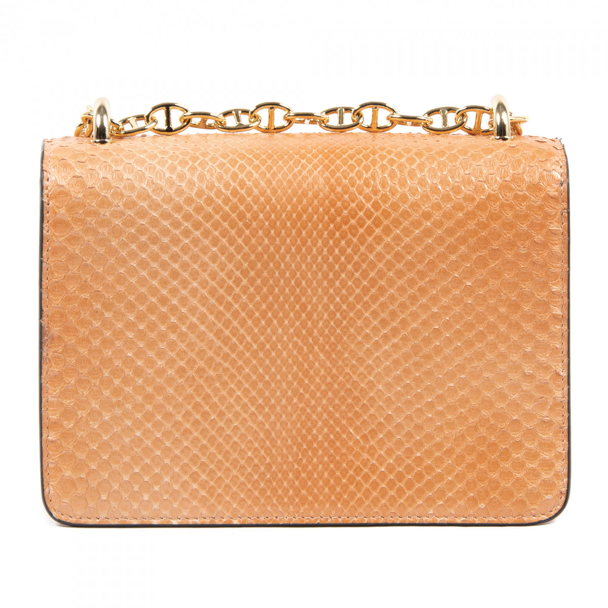 Siena Python Small Crossbody