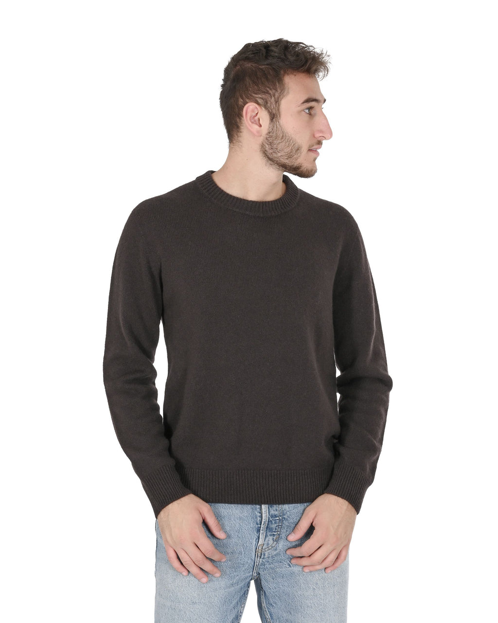 Maglione girocollo da uomo in cashmere Crown of Edinburgh COE 009 MARRONE