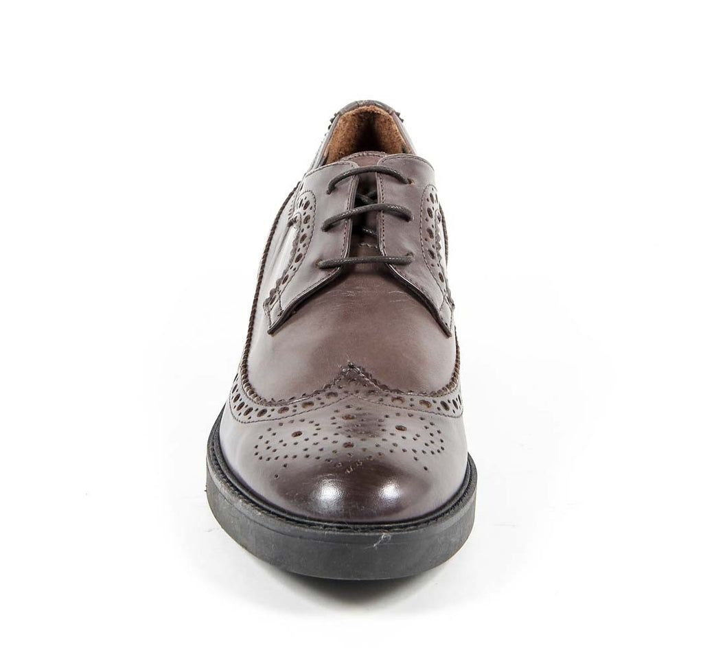 V 1969 Italia Womens Brogue Shoe B1670 VITELLO CEDAR