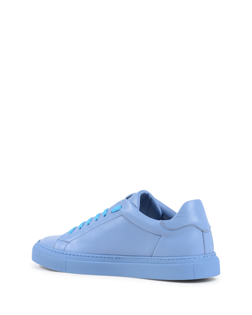 Sneaker Dedication - Azzurro