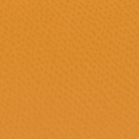Dizzy Logo Mule Mustard