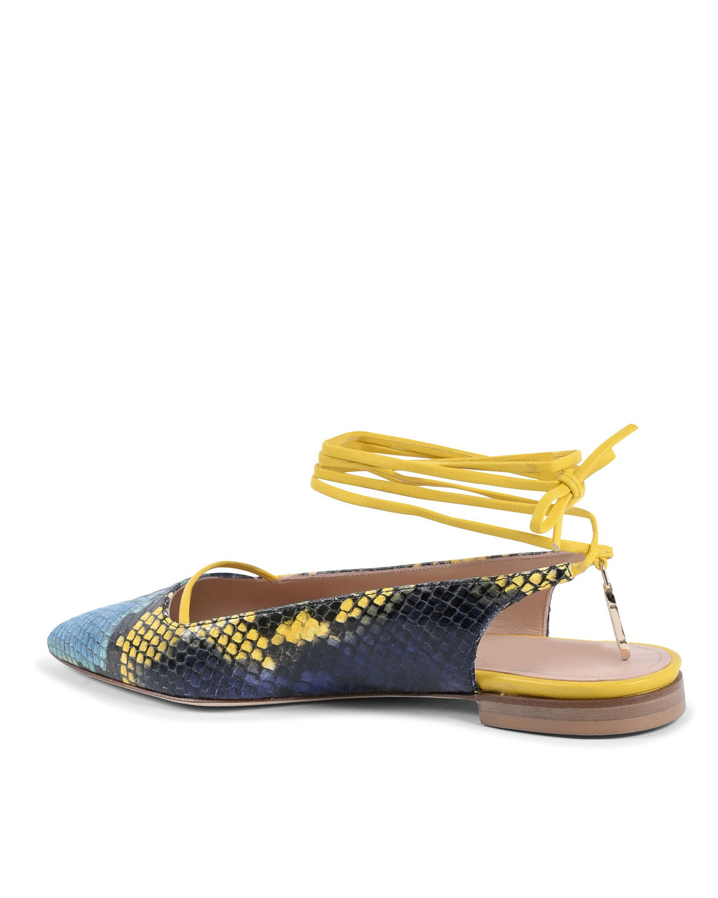Brenda Flat Python - Blu/Giallo 