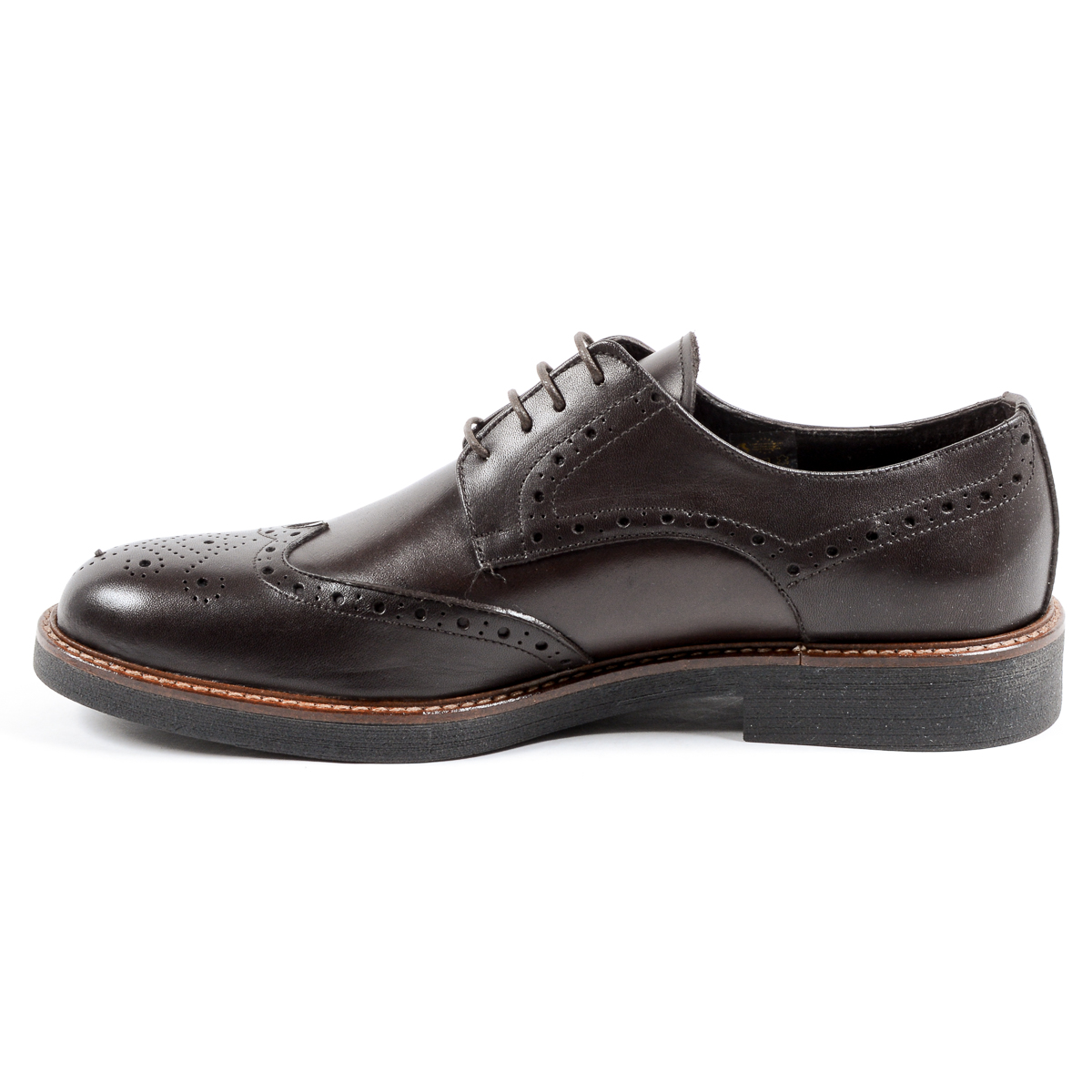 Andrew Charles Scarpa Brogue da Uomo Marrone IGGY