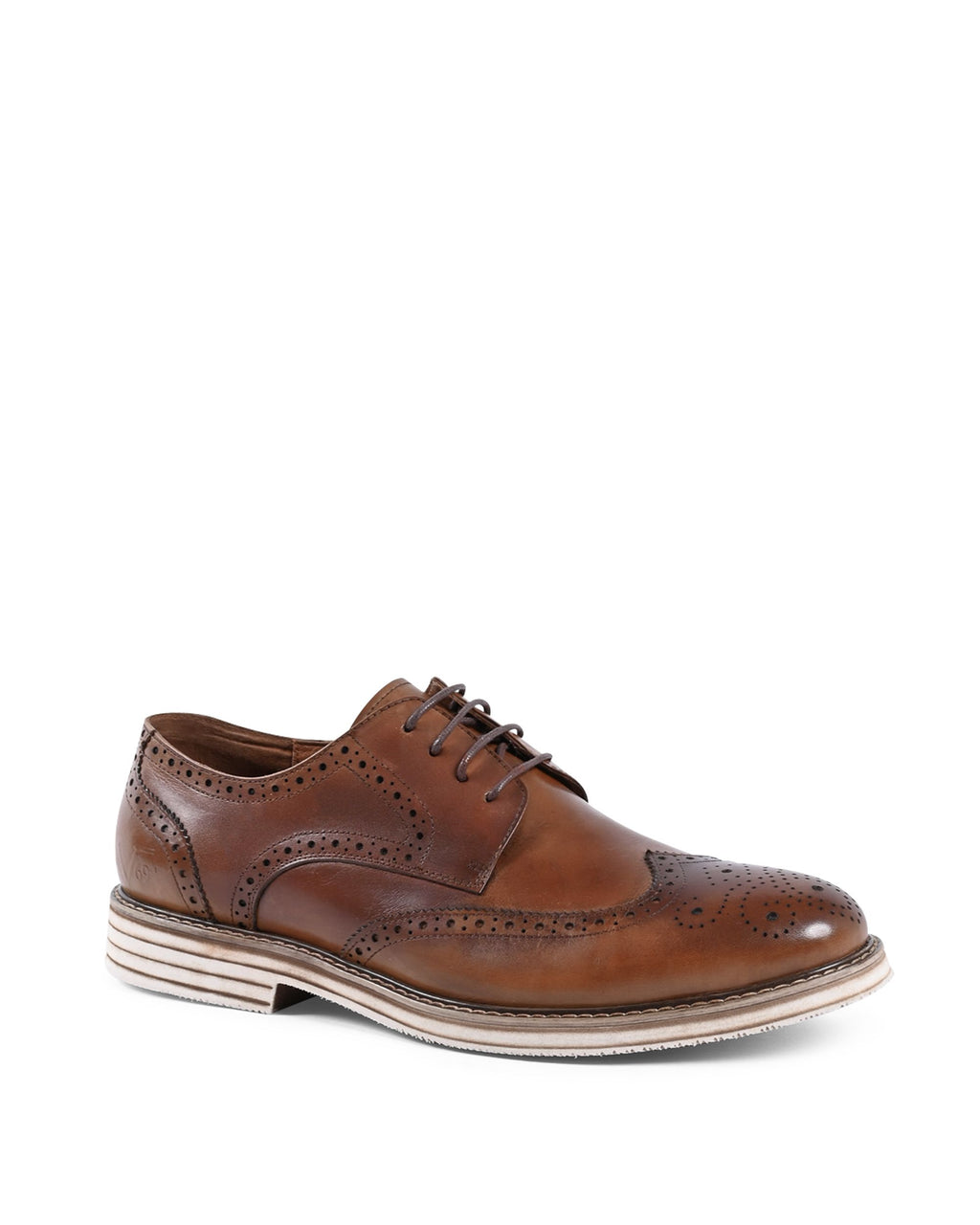19V69 Italia Scarpe Classiche Uomo Marrone YO M949C8-26 TABACCO