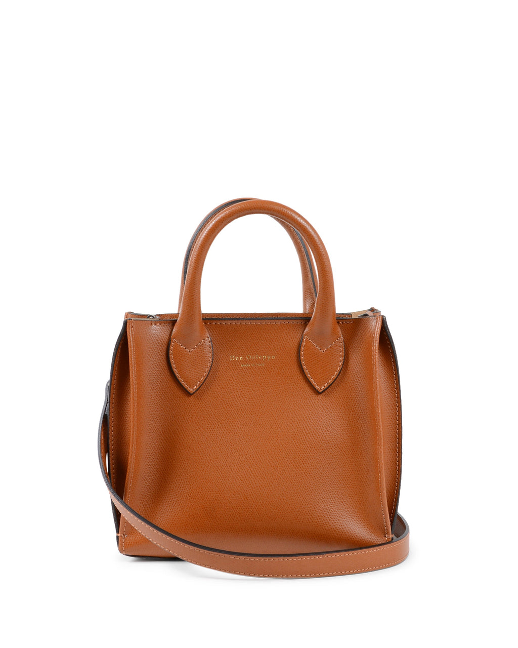 Mini Lucca Palmellato Tote