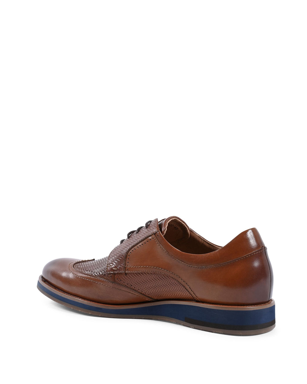 19V69 Italia Brogue Uomo Marrone YO ZD28-H27 TABACCO