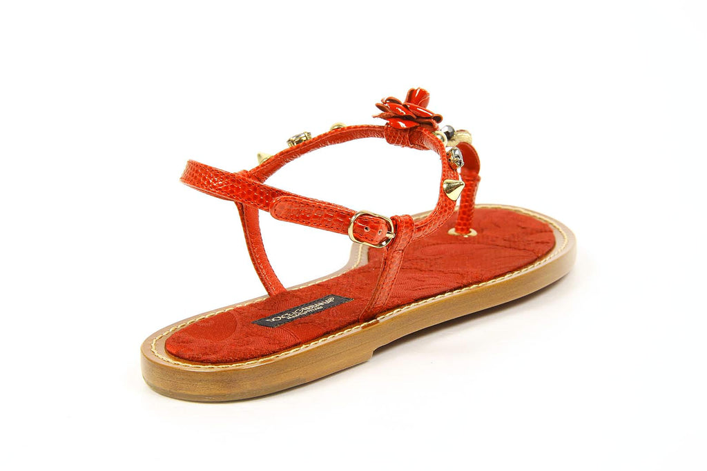 Dolce & Gabbana infradito da donna C19429 A6588 89902