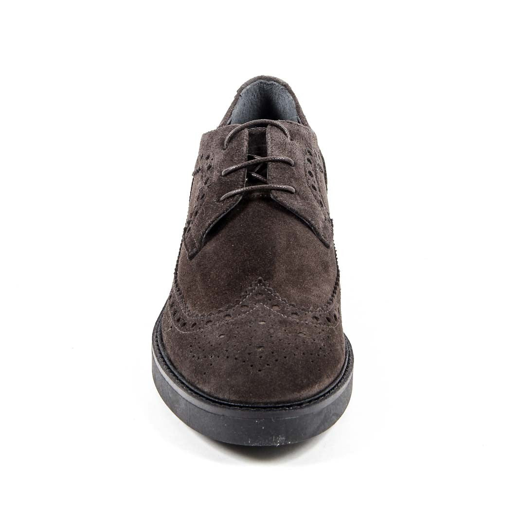 V 1969 Italia Scarpa Brogue da Donna B1670 VELOUR TAUPE