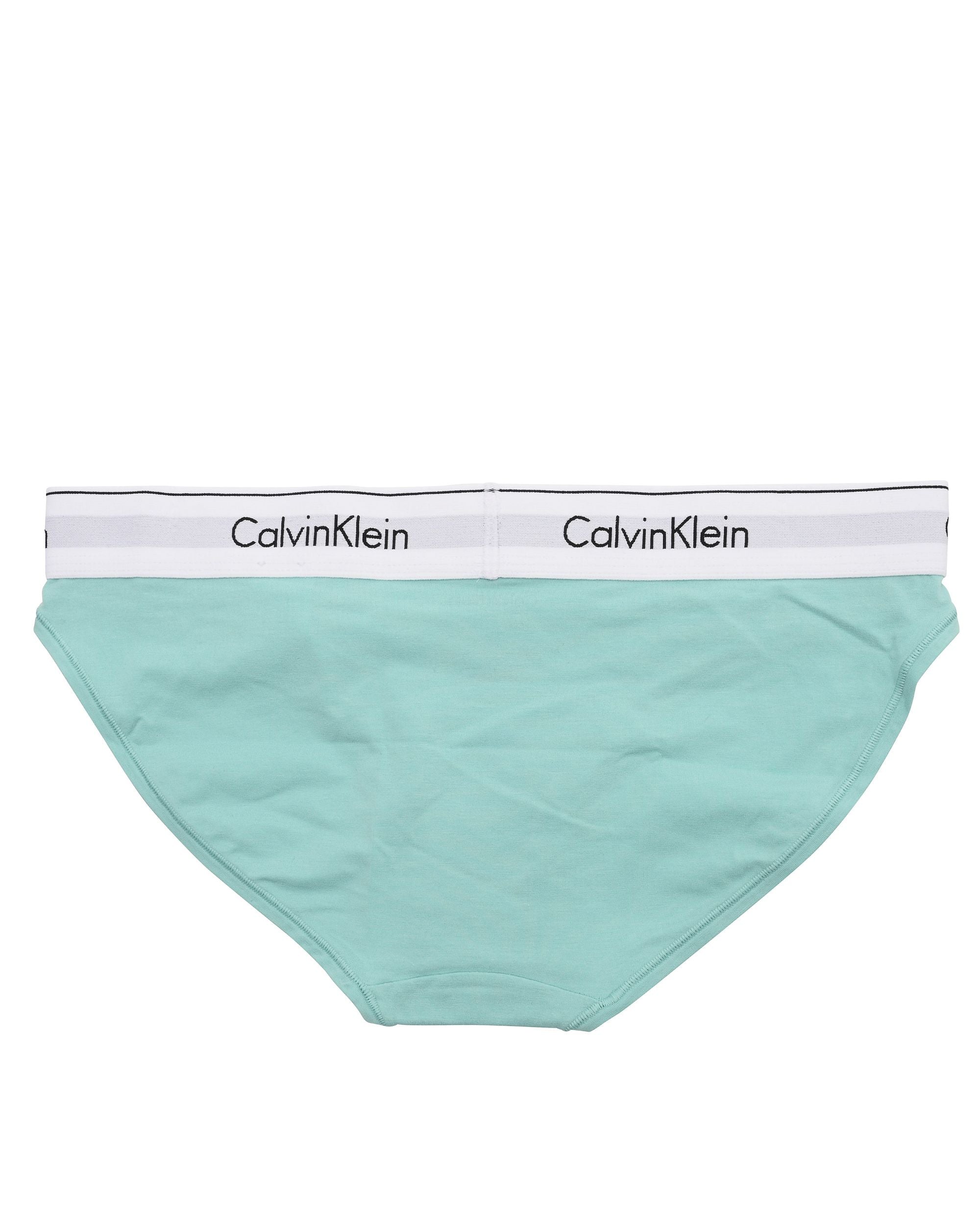 Calvin Klein Womens Bikini 0000F3787EVOG